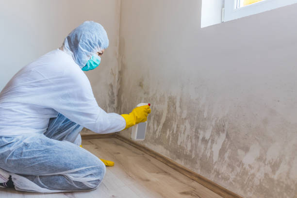 Bathroom Mold Removal assessment in McBain bathroom