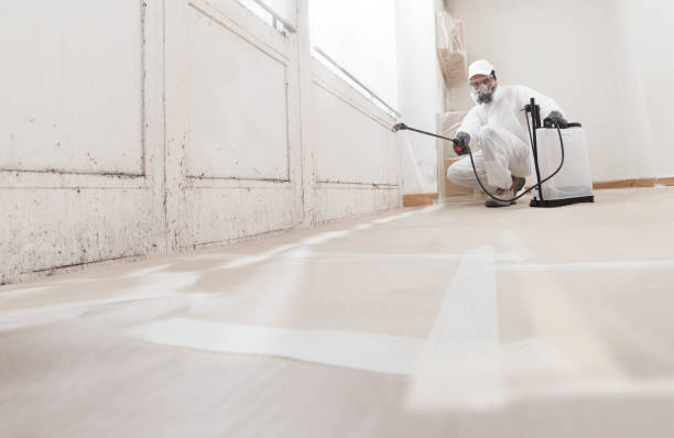 Black mold remediation team in McBain